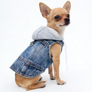 Puppy Spring Clothes for Small Dogs Pug Jeans Hoodie with Gray Cap Blue Black Denim Chihuahua Clothing 2025 New Designer T-shirt